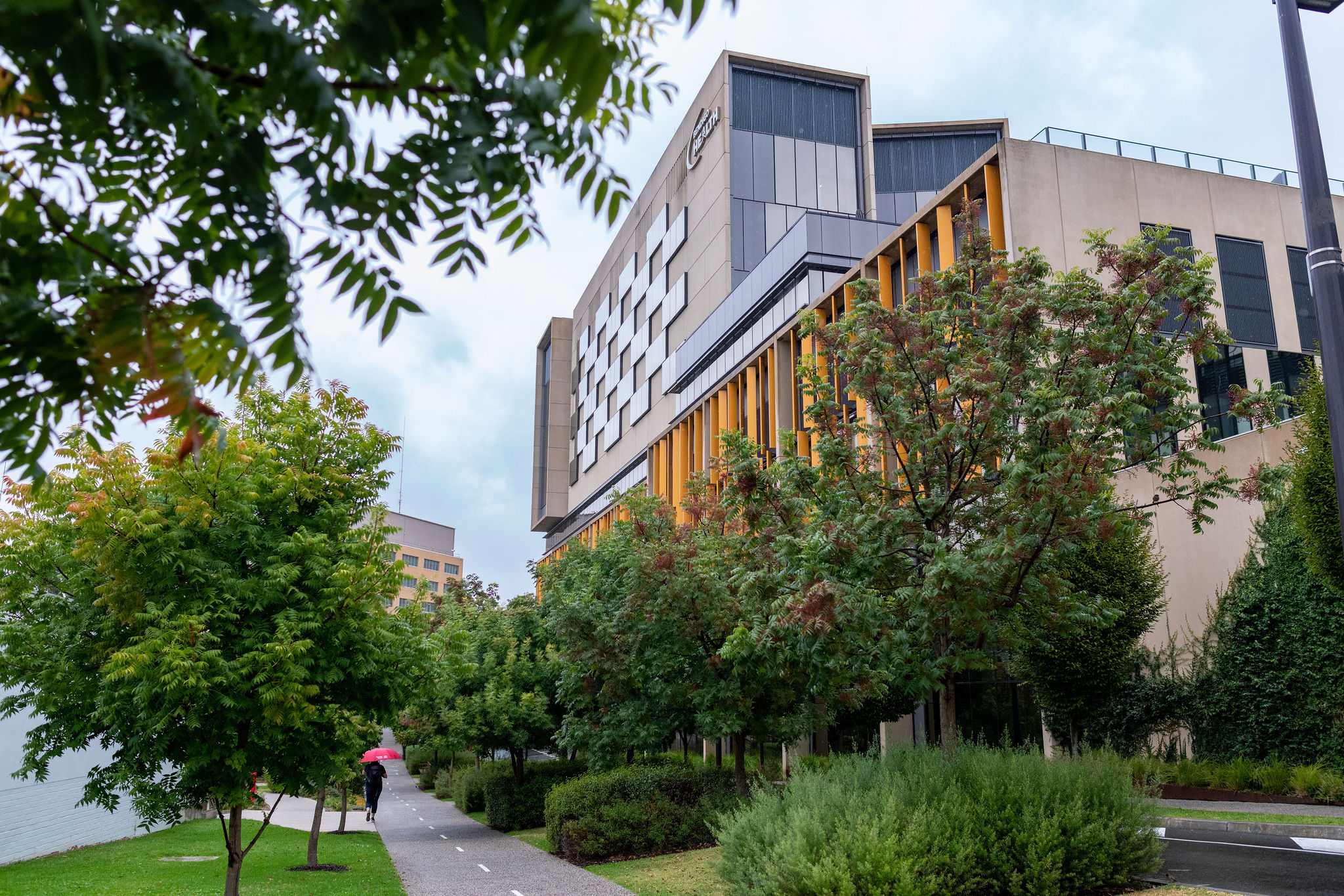 Getting around Peter Mac