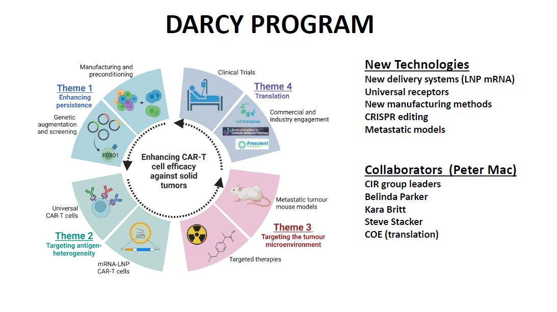 Darcy program 1