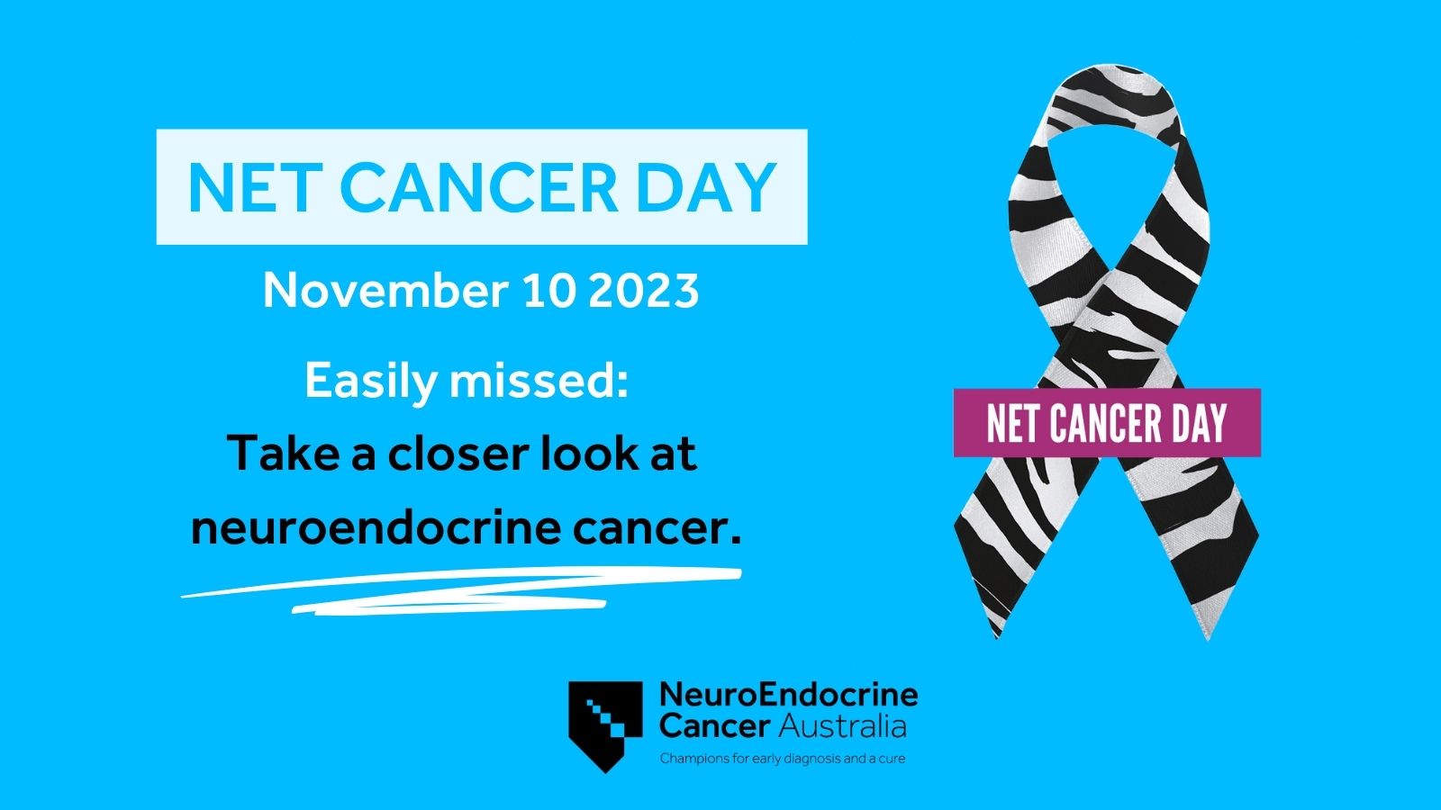 NET CANCER DAY Twitter Post2305843009353539841