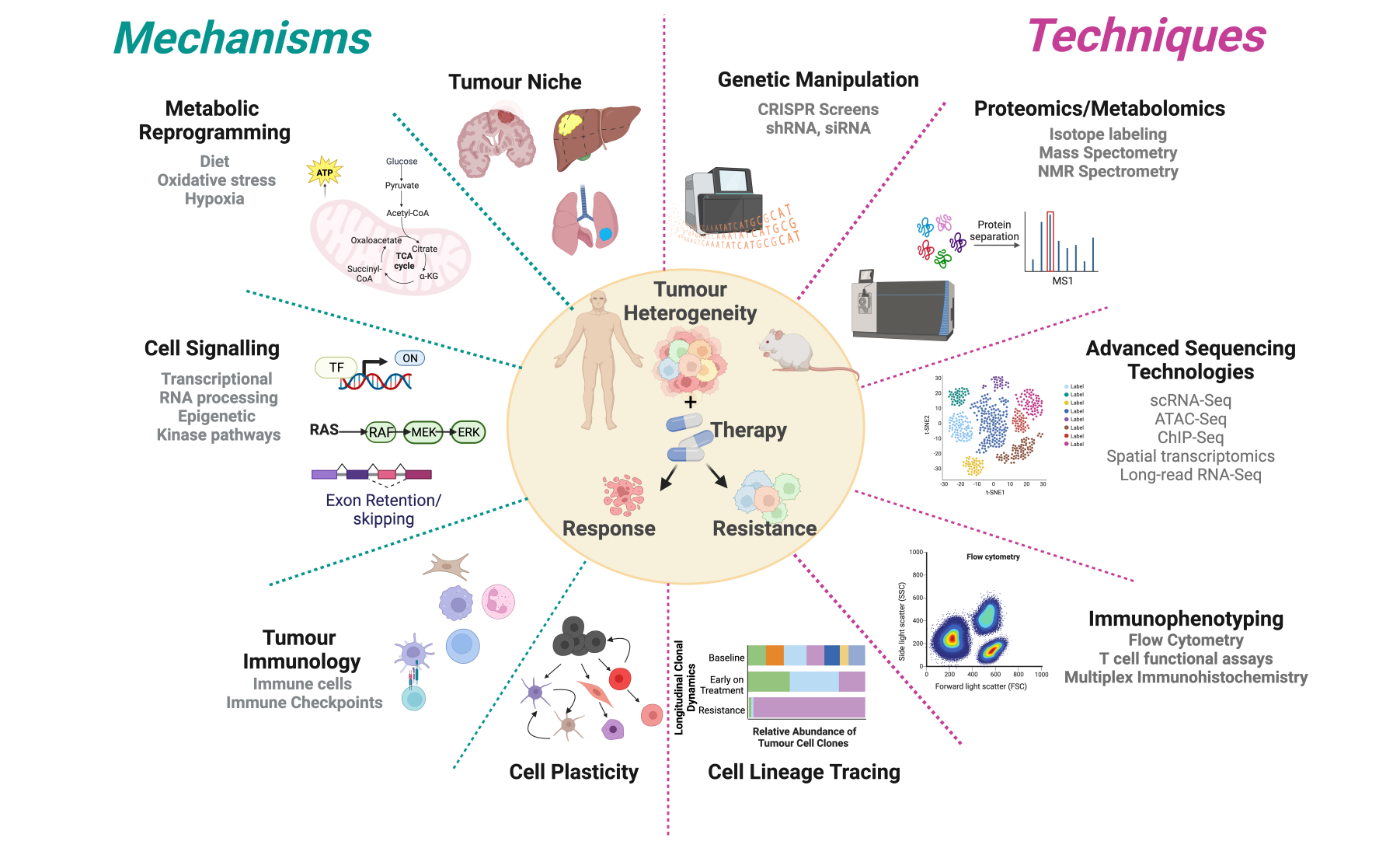 What we study and how1