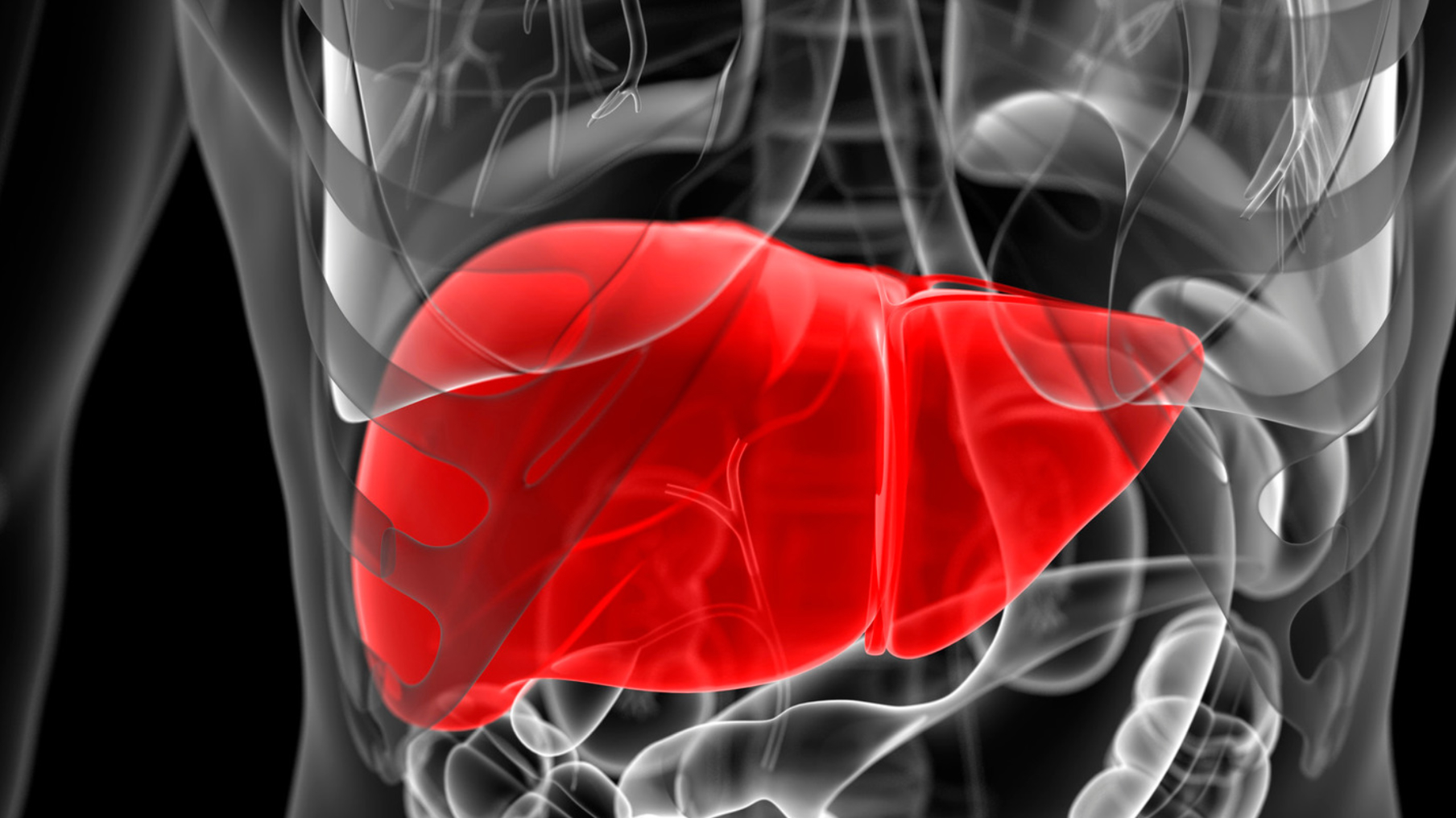 Screenshot 2024 02 16 at 1.47.00 pm 2