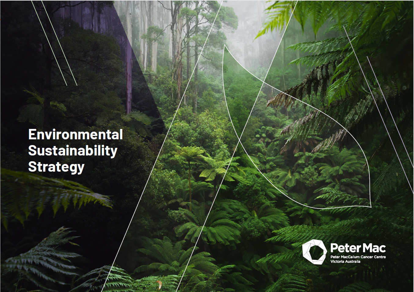 SustainabilityStrategyCover