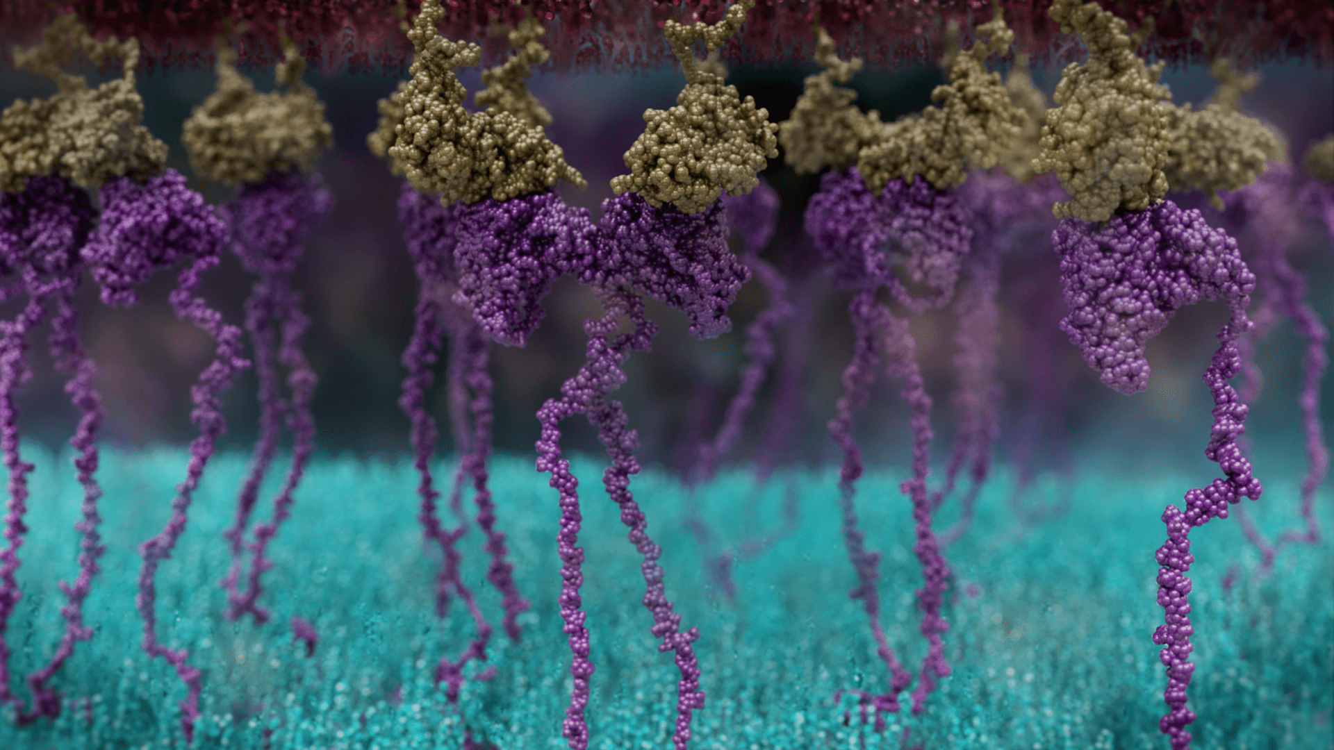 New CAR T-Cell therapy research shows potential in solid tumours