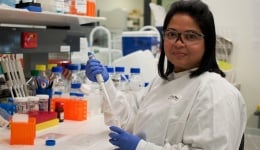 Recurrent non-invasive breast tumours may not always be related to the primary tumour